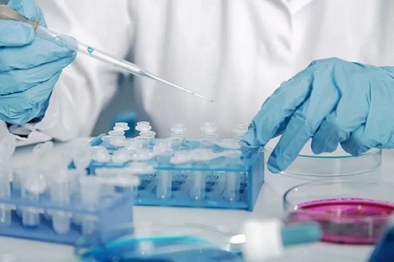 ̽����Ʋ���