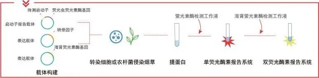 ̽����Ʋ���